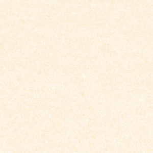 Limestone Y 01